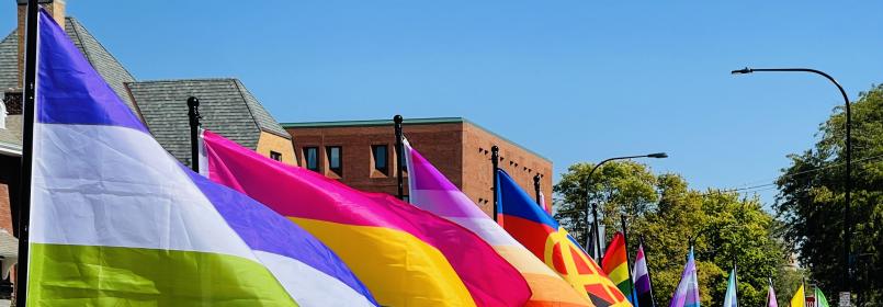 GSRC banner- numerous LGBTQ+ flags